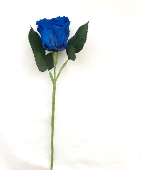 5b111d225496ff6d3d001004