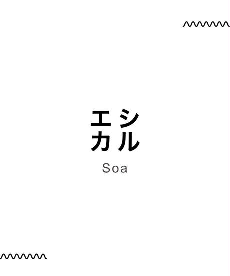 5e8ddb032a9a425c46862189