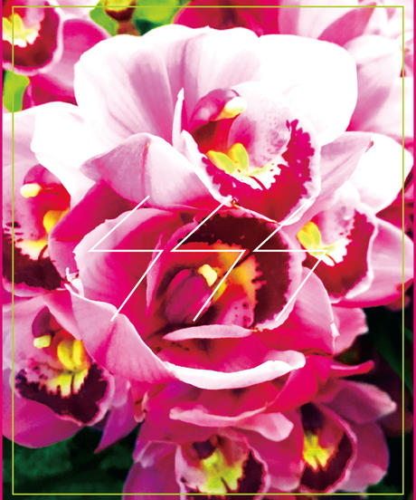 5f1fb59d791d023cd9b833df