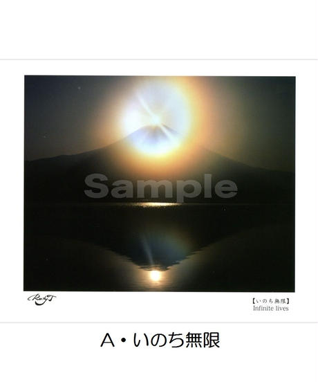 5536057f3cd482f8b9000bf4