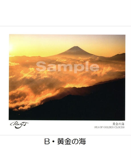 5536057f3cd482f8b9000bf4