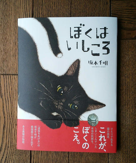 5f7e96708f2ebd0f39d9d532
