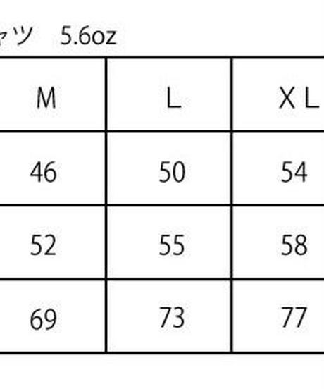 5e441b80c78a5317aced9732