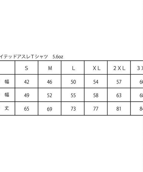 5b3a25955496ff486c0014e1