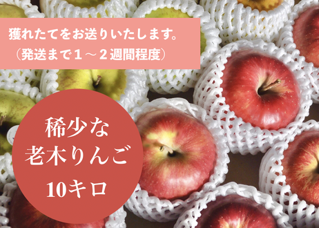 5dbe7105745e6c491481b92c