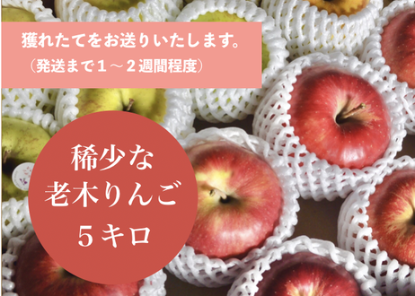 5daea38e5b61b467f775fa0e