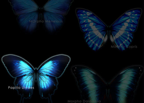 5f55d29b37b0bc322efe305b
