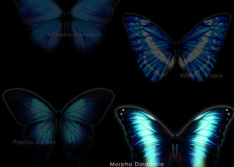 5f55d17d2742d7348dbe3a45