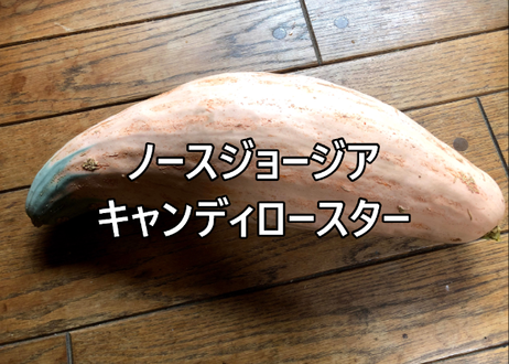 5f743fe03ae0f4456990700f