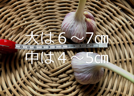 5f0bd415ec8fd36c5d44a0c7