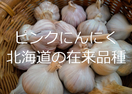 5f0bd415ec8fd36c5d44a0c7