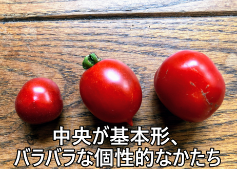 5e927ebce20b04450631e088