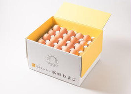 5d62d2232e89b77bc6a4c0ea