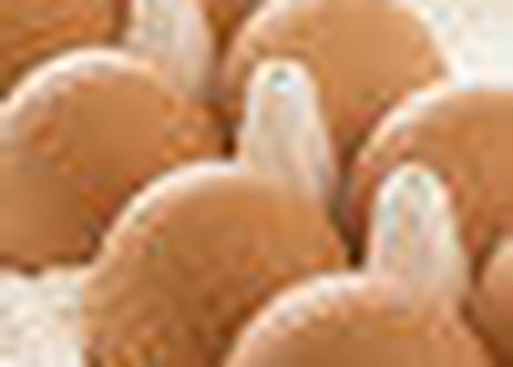 5d62d2232e89b77bc6a4c0ea