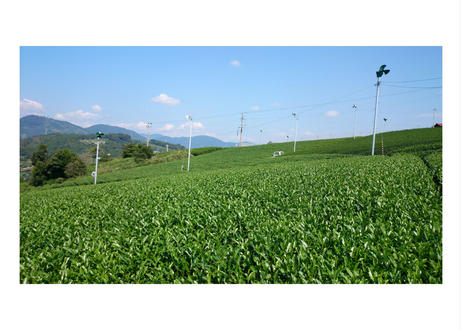 5cab27852c1c51514d0453fb