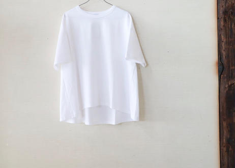 5ec77fd734ef012b55c5e956