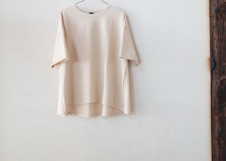 5ec77fd734ef012b55c5e956