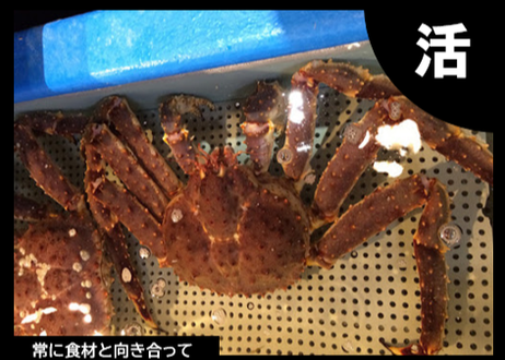5f64882ffbe5b57a099bbaba