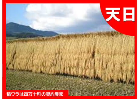 5f7298a093f6193d3fea1dec