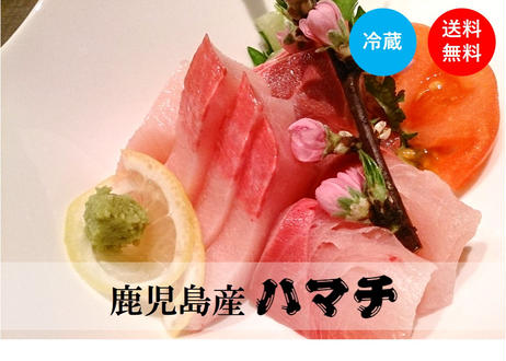 5f2bb604d7e1d849cb619176