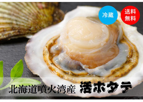 5f83c83d0850a05ef7d9ff76