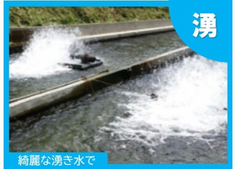 5f365a60791d022f51055ef5