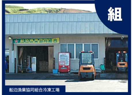 5f78374607e16355a5313a55