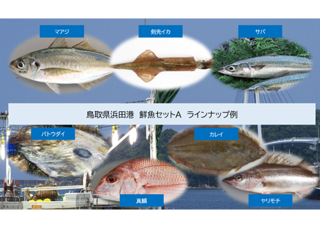 5f6fe47593f6190eedd89060
