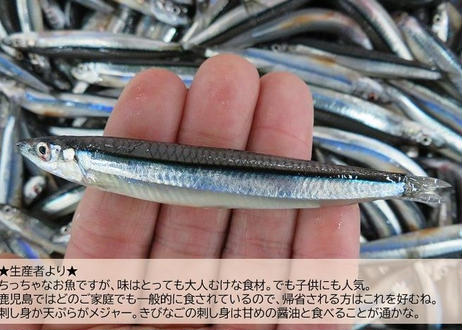 5f2bc53a791d020f558764cc