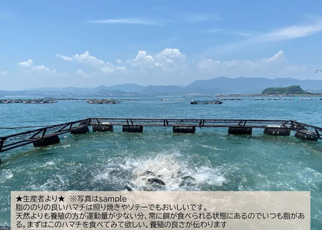 5f2bb604d7e1d849cb619176