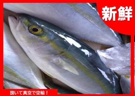 5f2bb604d7e1d849cb619176