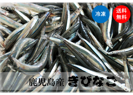 5f2bc53a791d020f558764cc