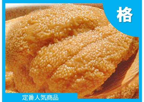 5f78374607e16355a5313a55