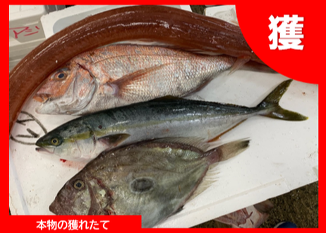 5f6fe47593f6190eedd89060