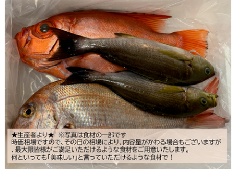 5f6fe47593f6190eedd89060
