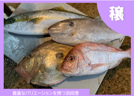 5f6fe47593f6190eedd89060