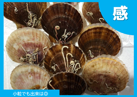 5f83c83d0850a05ef7d9ff76
