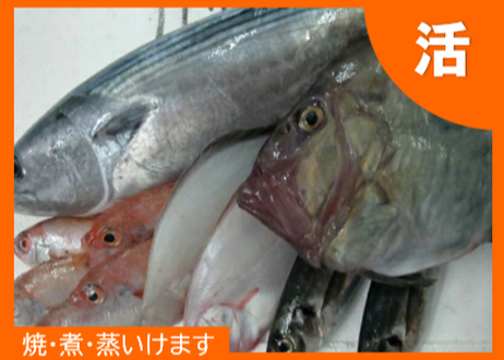 5f6fe47593f6190eedd89060