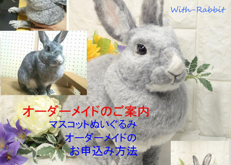 5bd02c0e2a286249c80004d9