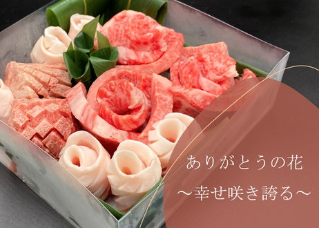 5f5ce6f993f61908c5b9cd94
