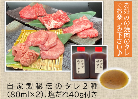 5f22b632d7e1d82a2101c377