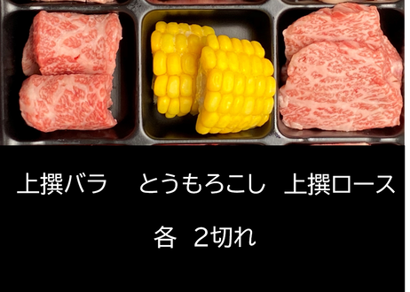 5f493c8c7df2816d6414e79e