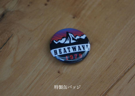 5ed3ae0934ef013cd15924fe