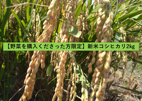 5f697caa4b08391c23601130