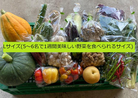 5eb120b35157621fb65f483f