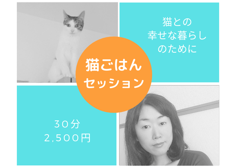 5d288895083829788a82917b