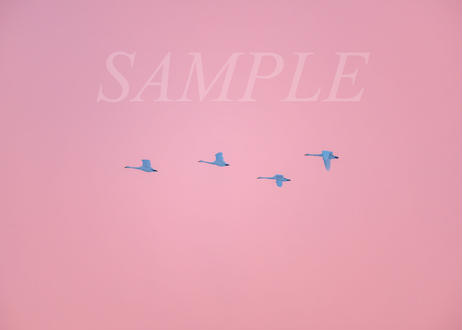 5dff737b7f16470a6d435940