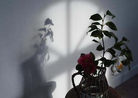 5eae009dcee9ea3024110f97