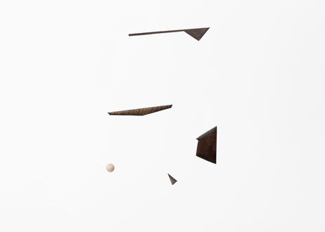 5ef93aba74b4e479f1cce9a1