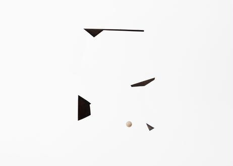 5ef93aba74b4e479f1cce9a1